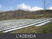 azienda