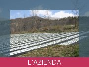 azienda