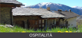 ospitalita