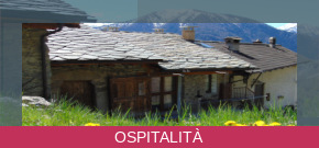 ospitalita